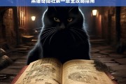 黑猫奇闻社第一章全攻略指南，黑猫奇闻社第一章攻略指南