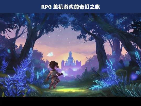 RPG 单机游戏的奇幻之旅