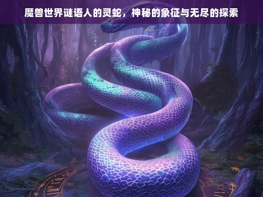 魔兽世界谜语人的灵蛇，神秘的象征与无尽的探索